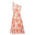 Printed Asymmetric Dress